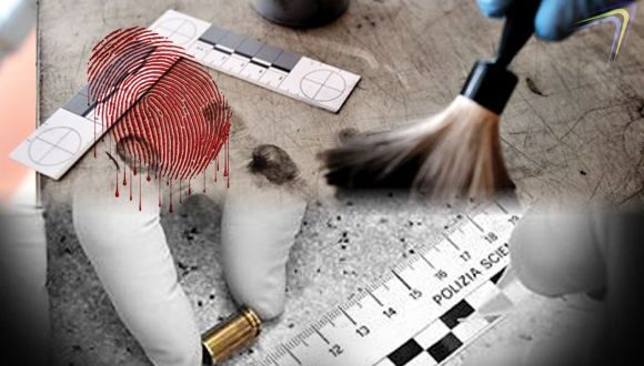 Diplomado  en criminalística