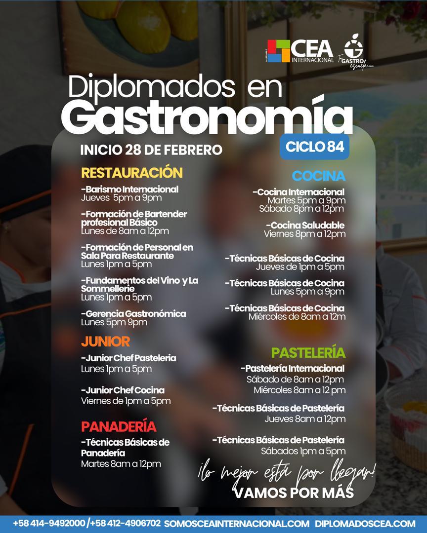 Diplomados Gastronomía Ciclo 84