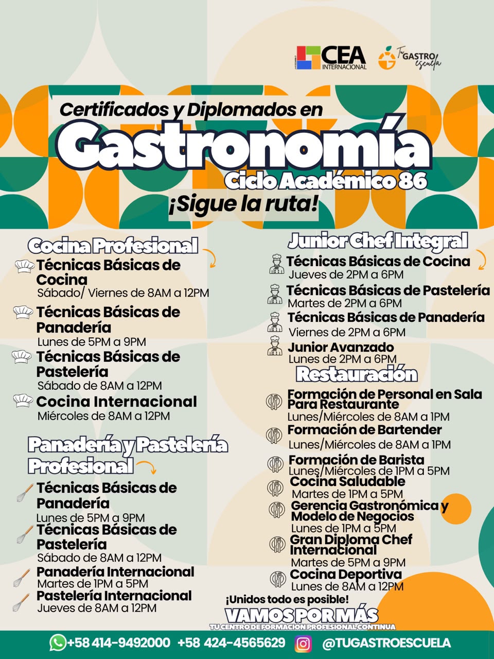 Diplomados Gastronomía Ciclo 86